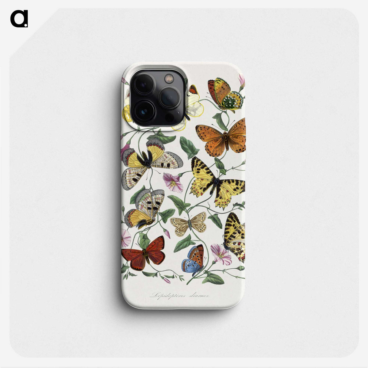 1-1_Le-Jardin-des-Plantes_phone