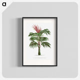 1-1_Les-Palmiers-Histoire-Iconographique_blk
