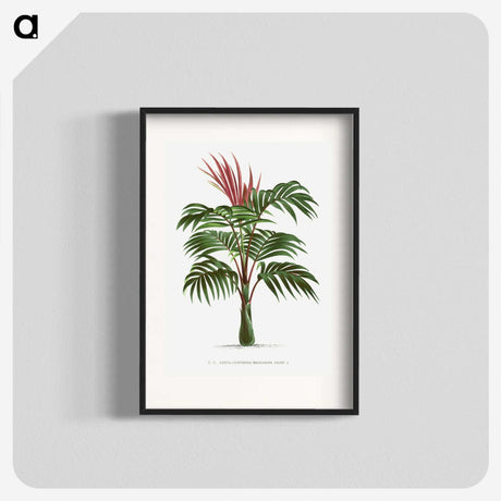1-1_Les-Palmiers-Histoire-Iconographique_blk