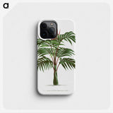 1-1_Les-Palmiers-Histoire-Iconographique_phone