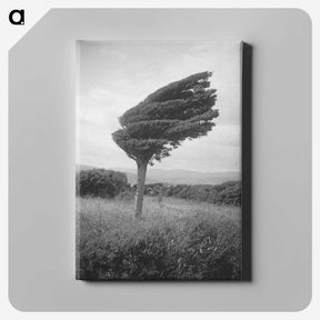 1-1_Leslie-Adkin_canvas