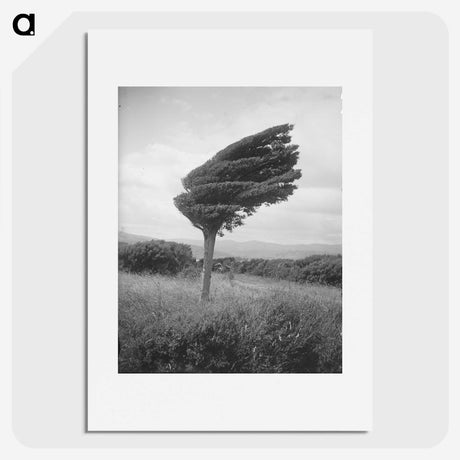 1-1_Leslie-Adkin_picture
