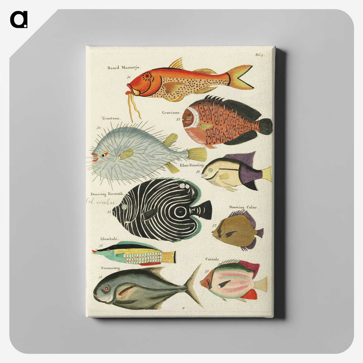1-1_Louis-Renard_canvas