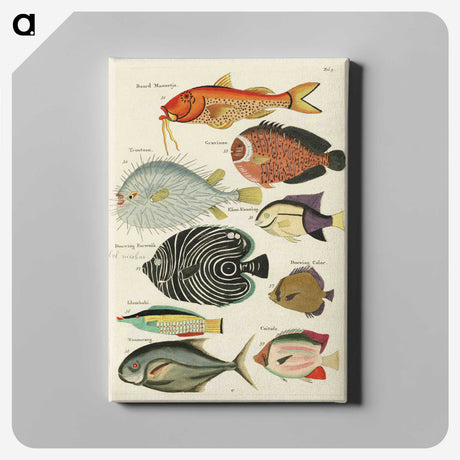 1-1_Louis-Renard_canvas