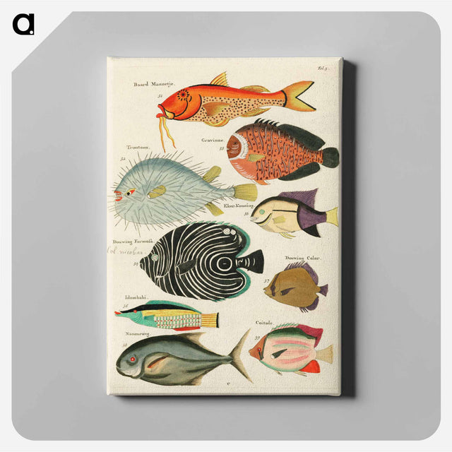 アートパネル-Moluccan Fishes
 - ルイ ルナール Canvas.