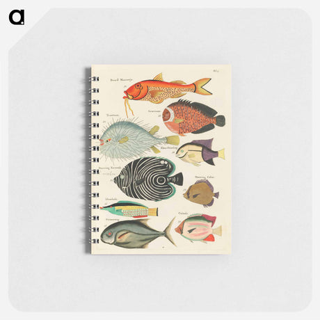 アートメモ帳-Moluccan Fishes
 - ルイ ルナール Memo.