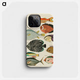 Moluccan Fishes
 - Louis Renard Phone Case.