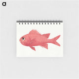 Unidentified Fish
 - ルイージ バルガーニ Memo.
