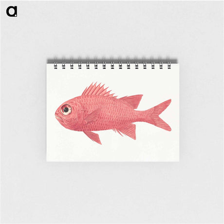 アートメモ帳-Unidentified Fish
 - ルイージ バルガーニ Memo.