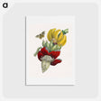 アートポストカード-Inflorescence of Banana
 - マリア ジビーラ メーリアン Postcard.