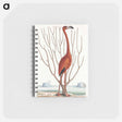 アートメモ帳-Flamingo
 - マーク ケイツビー Memo.