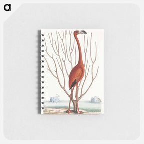 アートメモ帳-Flamingo
 - マーク ケイツビー Memo.