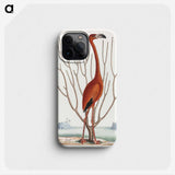 1-1_Mark-Catesby_phone