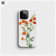 1-1_Mary-Vaux-Walcott_phone