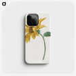 1-1_Michiel-van-Huysum_phone