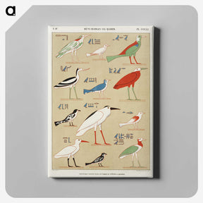 1-1_Monuments-of-Egypt-and-Nubia_canvas
