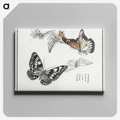 1-1_Morimoto-Tokaku_canvas