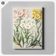 1-1_Native-Flowering-Plants-of-New-Zealand_canvas
