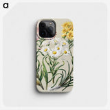 1-1_Native-Flowering-Plants-of-New-Zealand_phone