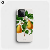 1-1_Nederlandsche-Flora-en-Pomona_phone