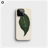 1-1_New-and-Rare-Beautiful-Leaved-Plants_phone