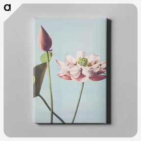 1-1_Ogawa-Kazumasa_canvas