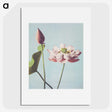 1-1_Ogawa-Kazumasa_picture