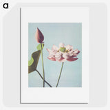 1-1_Ogawa-Kazumasa_picture