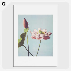 1-1_Ogawa-Kazumasa_picture
