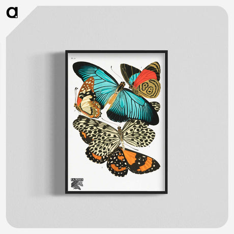 1-1_Papillons_blk-crop