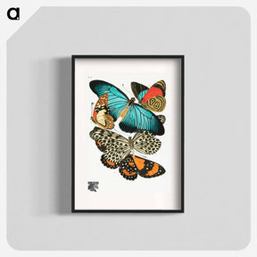 アートポスター-Vintage Butterflies
 - パピヨン Poster.