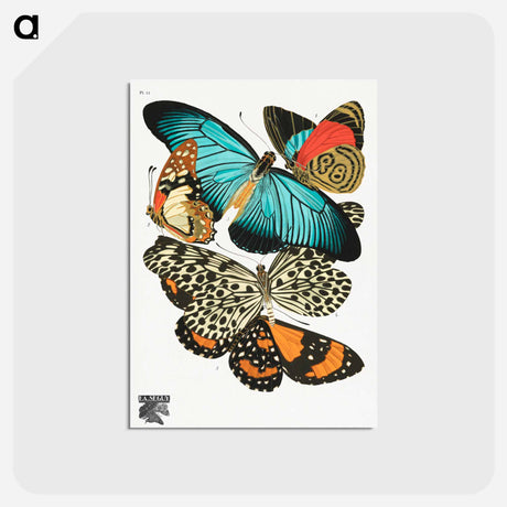 アートポストカード-Vintage Butterflies
 - パピヨン Postcard.