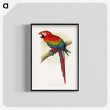1-1_Parrots-in-Captivity_blk-crop