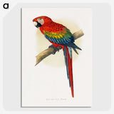 1-1_Parrots-in-Captivity_picture-crop