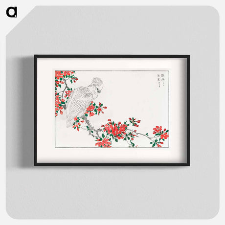 アートポスター-Parrot and Pyrus spectabilis
 - 鳥類図鑑 Poster.