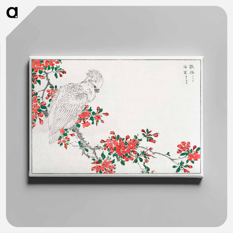 アートパネル-Parrot and Pyrus spectabilis
 - 鳥類図鑑 Canvas.