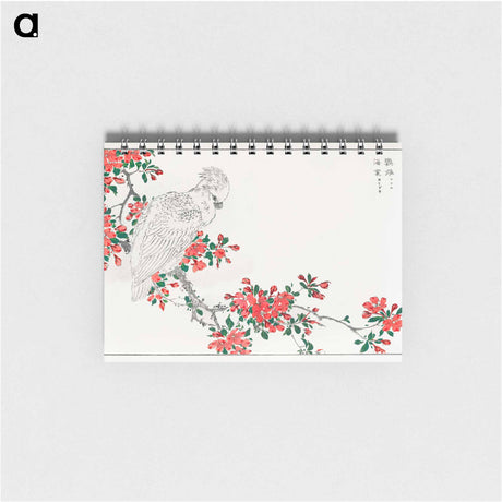アートメモ帳-Parrot and Pyrus spectabilis
 - 鳥類図鑑 Memo.