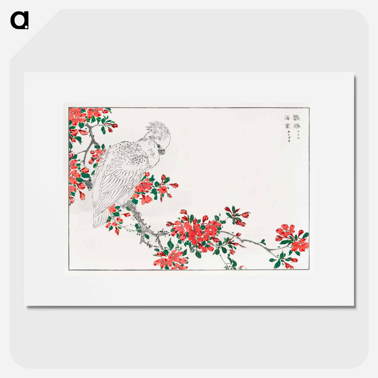 アートポスター-Parrot and Pyrus spectabilis
 - 鳥類図鑑 Poster.