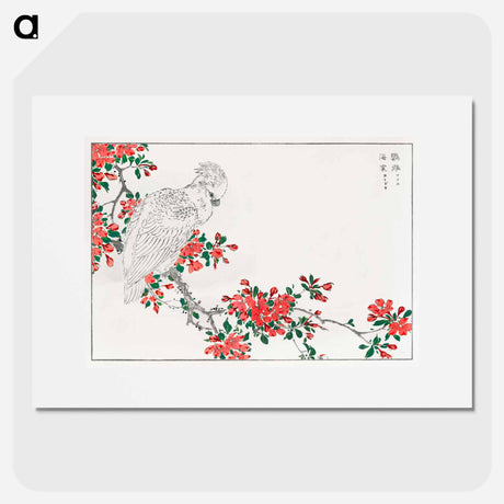 アートポスター-Parrot and Pyrus spectabilis
 - 鳥類図鑑 Poster.