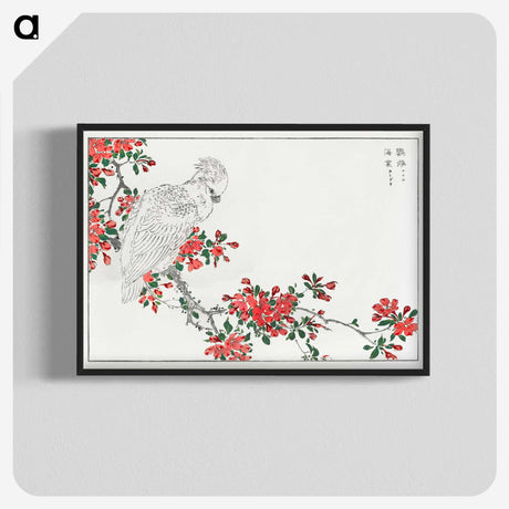 1-1_Pictorial-Monograph-of-Birds_blk-crop