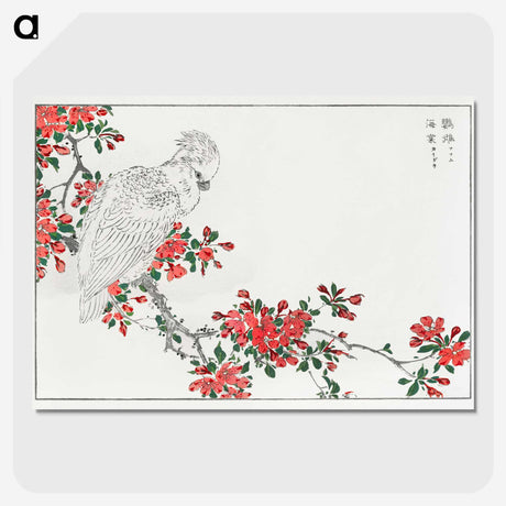 1-1_Pictorial-Monograph-of-Birds_picture-crop