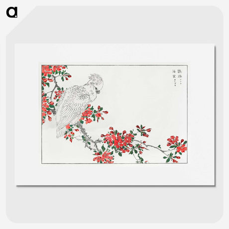 1-1_Pictorial-Monograph-of-Birds_picture
