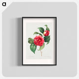 Choice of more beautiful flowers: and more beautiful fruits - Pierre Joseph Redouté Poster.