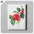 アートパネル-Choix des plus belles fleurs :et des plus beaux fruits - ピエール ジョゼフ ルドゥーテ Canvas.
