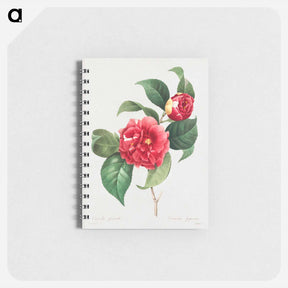 アートメモ帳-Choix des plus belles fleurs :et des plus beaux fruits - ピエール ジョゼフ ルドゥーテ Memo.