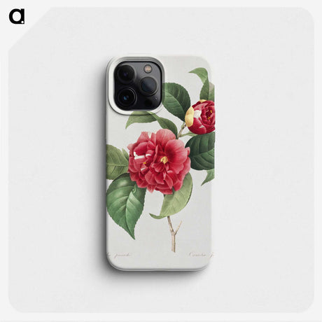 1-1_Pierre-Joseph-Redoute_phone