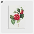 1-1_Pierre-Joseph-Redoute_postcard