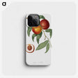 1-1_Pomona-Italiana_phone