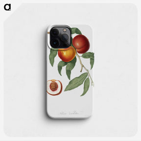 1-1_Pomona-Italiana_phone