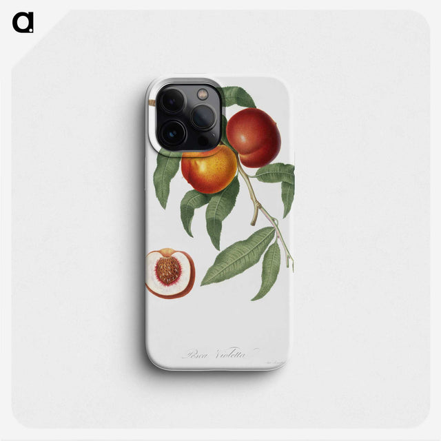 1-1_Pomona-Italiana_phone